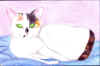p4.bmp (489848 �Ӧ줸��)